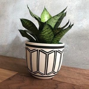 💌3/$25 | Ceramic Planter